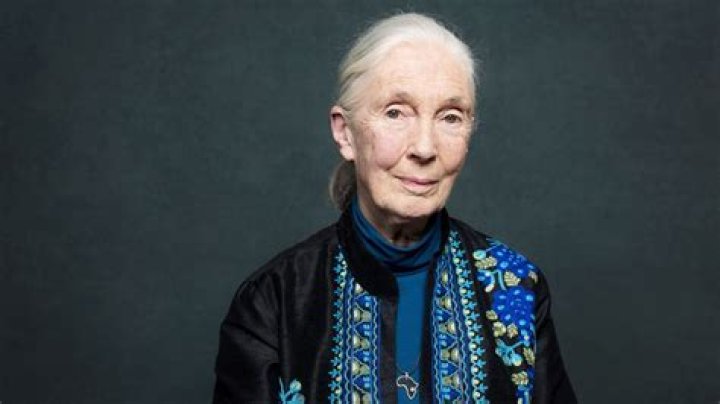EXPLORE Jane Goodall Wiki, Biography, Age, Height, Husband, Net Worth 2020, Children!!
